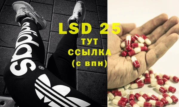 ПСИЛОЦИБИНОВЫЕ ГРИБЫ Абдулино