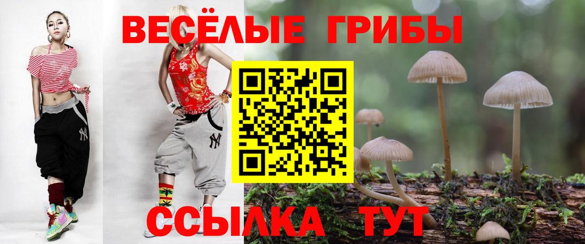 Галлюциногенные грибы MAGIC MUSHROOMS  продажа наркотиков  Стрежевой  Вход с VPN 